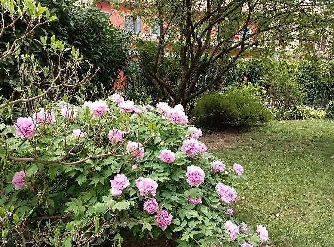 La Casa Dei Tigli *